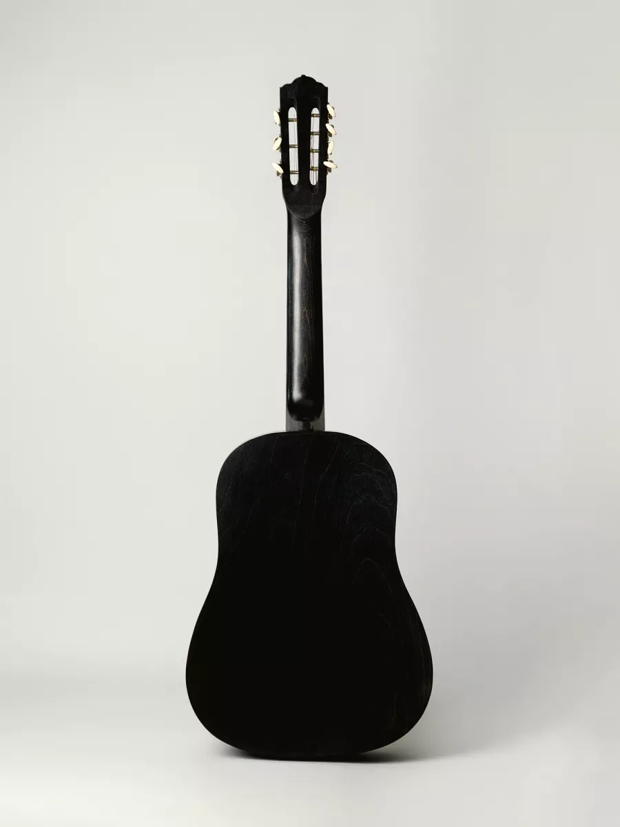 ACD-39A-73-EC Акустическая гитара, 7-струнная, цвет эбен/шампань, АККОРД - фото 2